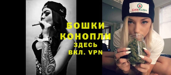 шишки Елизово