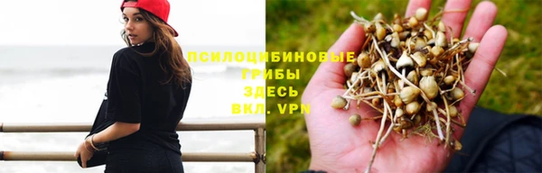 ALPHA PVP Аркадак